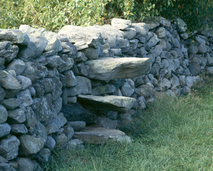 Stone wall with stile, Casey Farm, Saunderstown, R.I.