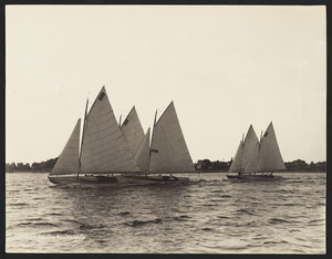 Quincy Yacht Club Regatta - Knockabouts