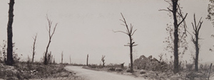 View of a road, a destroyed building and damaged trees