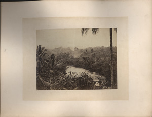 River scene at Buitenzorg, Java