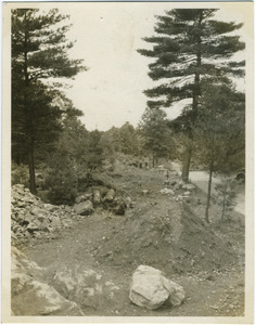 Road into Civilian Conservation Corps camp, in process of construction, Harold Parker State Forest