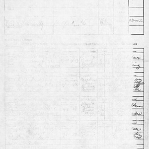 Form filled out with Carmen A. Pola's education and employment record