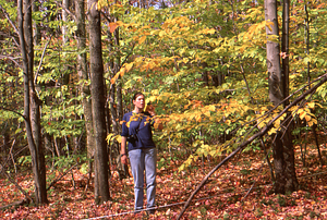 Katherine Bernie (Class of 2000) in Permanent Plot 1132 establishing X- Y-coordinates of canopy trees. Ground truthing aerial photographs project - Plot 1132.