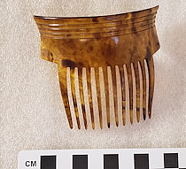 Comb, Ornamental
