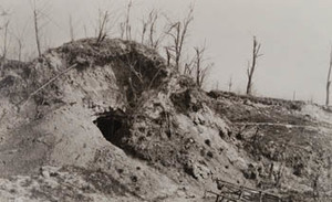View of dugout entrance with damaged trees, Brimont