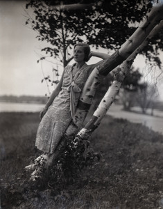 Gertrude Kear (?) posed, leaning against a birch tree