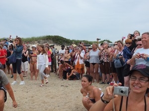 Onlookers applaud as International Fund for Animal Welfare volunteers release stranded dolphins into the sea