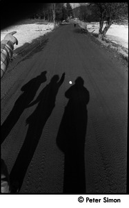 Casting shadows on a dirt road, Packer Corners commune