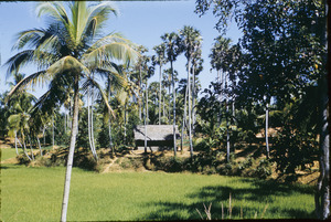 Village near Thiruvananthapuram