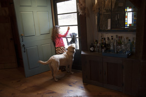 Sheffield House: Eva, daughter of Martin Canellakis and Faith Cromas, with her dog Poppy, looking through the front door screen, Sheffield, Mass.