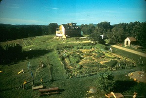 View of Community garden from tower of Michael's house