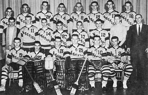 Wakefield High School, 1961 hockey team