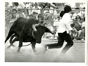 Joe Bettencourt is chased by a raging bull