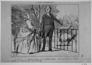 - Oui madame ....., ces animaux-là viennent tous du jardin des plantes...... nous avons résolu le difficile problème de les acclimater dans le bois de Boulogne......