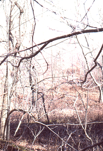Looking northeast across North Branch of Birch Brook toward the abandoned potato field of the Moon Lot - Primmer Farm.