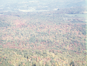 Aerial oblique view looking N along Plot Line 29 on 14 October 1971.