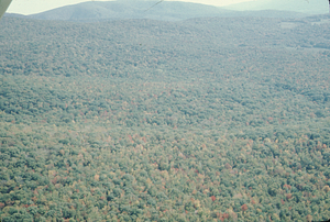 Aerial oblique view across Middle Branch (center) and South Branch (distance) of Birch Brook on 14 October 1971.