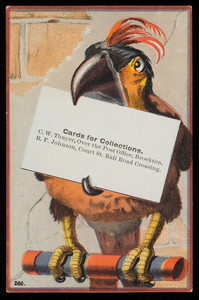 Trade card for C.W. Thayer, cards for collections, over the Post Office and R.F. Johnson, Court Street, rail road crossing, Brockton, Mass., undated
