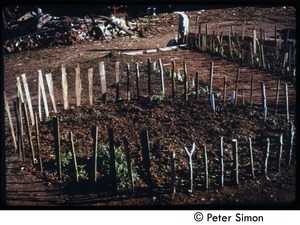 Make-shift fence in garden, Tree Frog Farm Commune