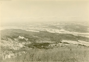 Forestry and Wildlife Management - Mt. Toby Forest
