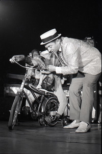 Chimpanzee vaudeville act opening for the Grateful Dead at Sargent Gym, Boston University: performer with pork-pie hat and chimpanzees on bicycles