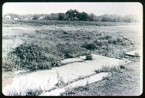 Saugus