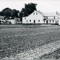 Crosby Farm Homestead