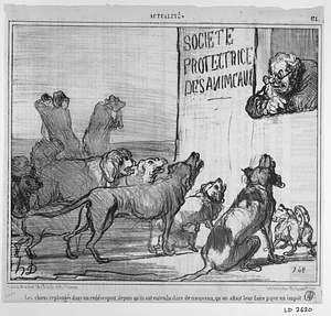 Les chiens replongés dans un redésespoir, depuis qu'ils ont entendu dire de nouveau, qu'on allait leur faire payer un impôt.