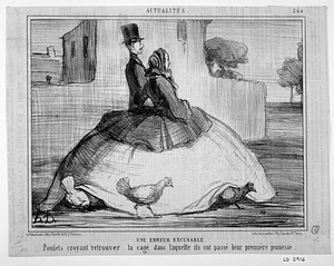 Une ERREUR EXCUSABLE. Poulets croyant retrouver la cage dans laquelle ils ont passé leur première jeunesse.