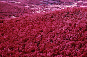 Aerial false color IR image of Taconic Crest Trail at Cruise Line 02 South of VT State Line. False Color Infrared/True Color Project.