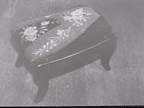 Jackson Homestead and Museum Collection