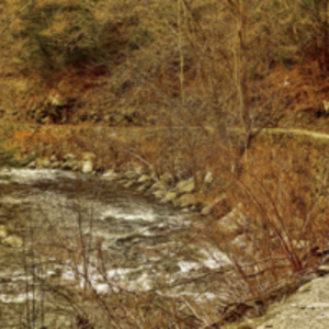 The Mill River