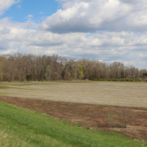Farm Land, Northampton Dike