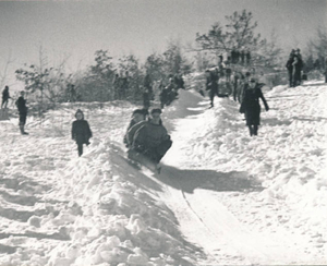 Bunker Hill sledding competition #2