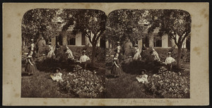 Stereograph of the T.W. Tuttle family picnicking in a garden, Dorchester, Mass., undated