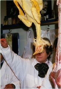 Butcher behind trussed-up poultry, Florence Central Market