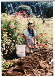 Grace Gershuny, harvesting potatoes