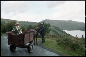 Margaret Heckler, United States Ambassador to Ireland, in a pony cart in the Wicklow Hills