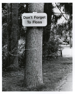 Don't forget to floss!