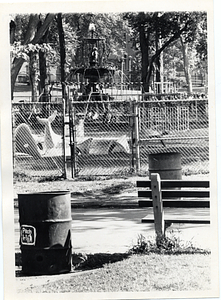 Playland playground, Boston Common
