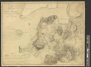 A plan of the environs of Brooklyn showing the position of the rebel lines and defences on the 27th of August 1776