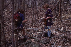 ENVI 102 - Introduction to Environmental Science in Moon Lot - Primmer Farm. 9. Stone wall in northeast corner of Moon Lot.