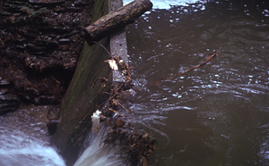 Log and debris caught in V-notch weir on the South Branch Birch Brook Stream Gauging Station. Morning after the 2.5" overnight (29-30 June 1973) rainfall event.