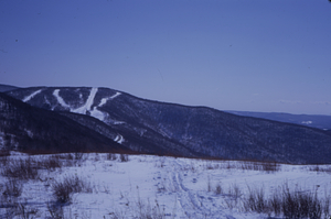 Panorama to the East, Jim Smith Hill, Taconic Crest. Image 11. View to south.