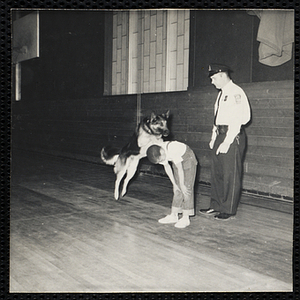 A boy participating in the K-9 demonstration by the Boston Police Department at the Boys' Clubs of Boston Roxbury Clubhouse