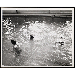 Three boys swim in a natatorium pool