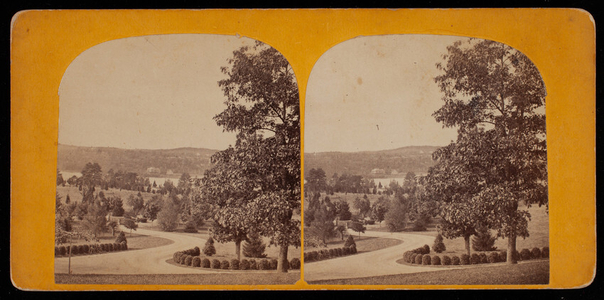 Stereograph, on the lawn, Potter's Grove, Arlington, Mass.
