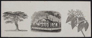 Sample sheet, location unknown, undated