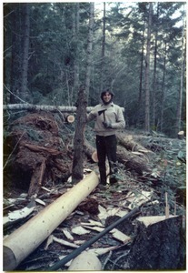 Mark Sommer trimming branches from poles for barn site