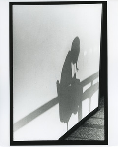 Hilles Library shadow
